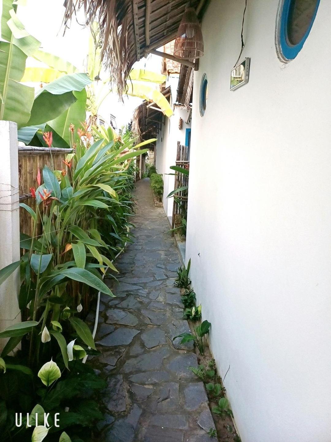 Cashew Tree Bungalow Hoi An Zewnętrze zdjęcie