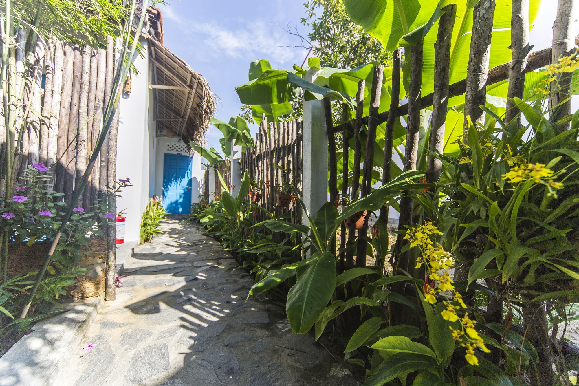 Cashew Tree Bungalow Hoi An Zewnętrze zdjęcie