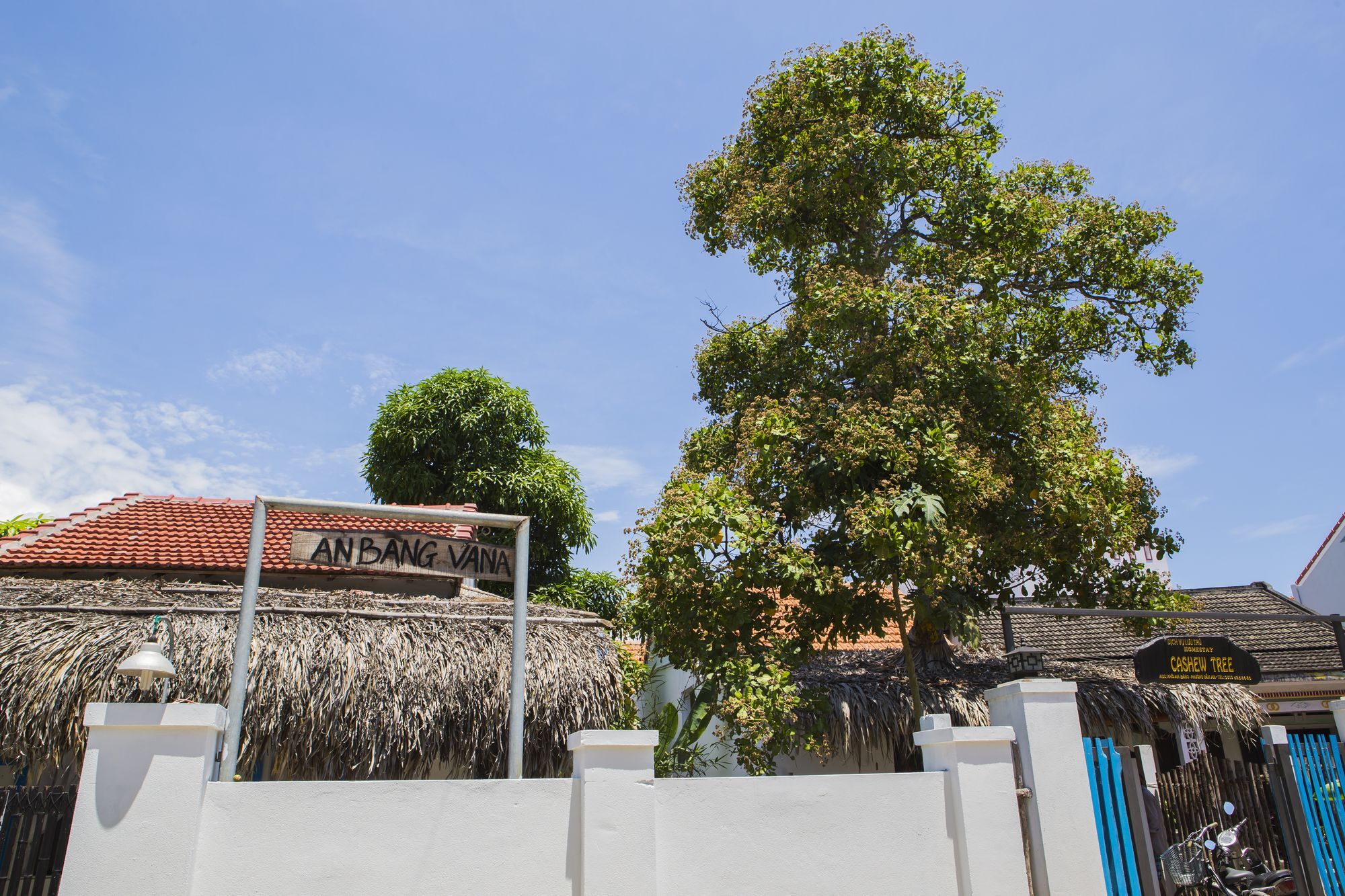 Cashew Tree Bungalow Hoi An Zewnętrze zdjęcie