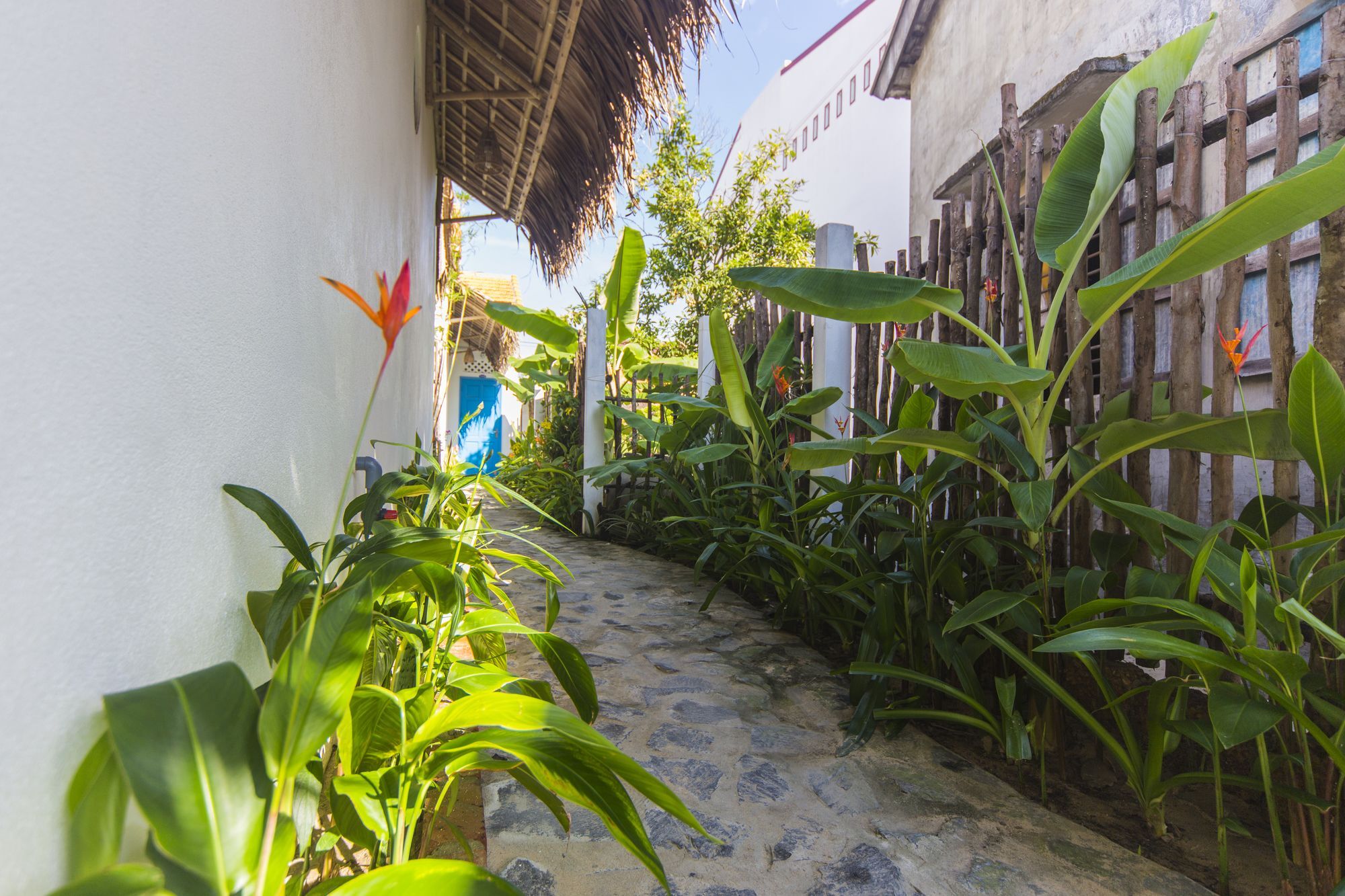 Cashew Tree Bungalow Hoi An Zewnętrze zdjęcie