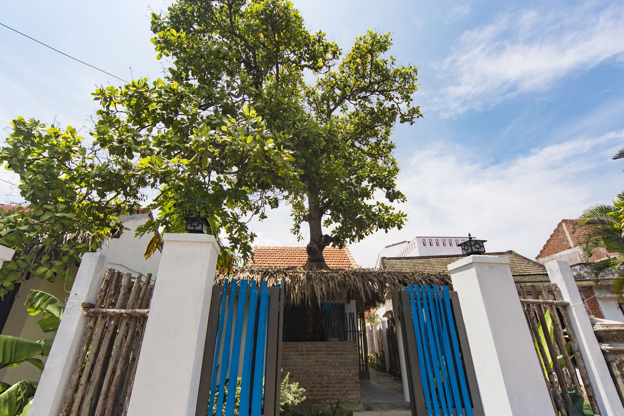 Cashew Tree Bungalow Hoi An Zewnętrze zdjęcie